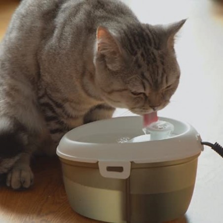 Mini Fuente Bebedera de Flujo Constante para Gatos 1,2 L CatH2O - CAT H2O 