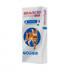 Bravecto Plus Gatos 2.8 a 6.25 Kg. Pipeta Antiparasitario Interno & Externo - bravecto 