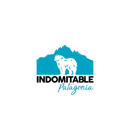 INDOMITABLE GALLETAS CREAMY CREMES ARANDANOS 120g - Indomitable 