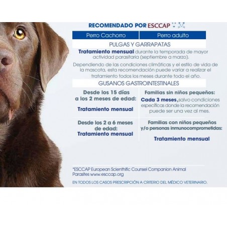 Nexgard SPECTRA Antiparasitario Perros entre 3,6 a 7,5 Kg. 1 dosis - NEXGARD SPECTRA 