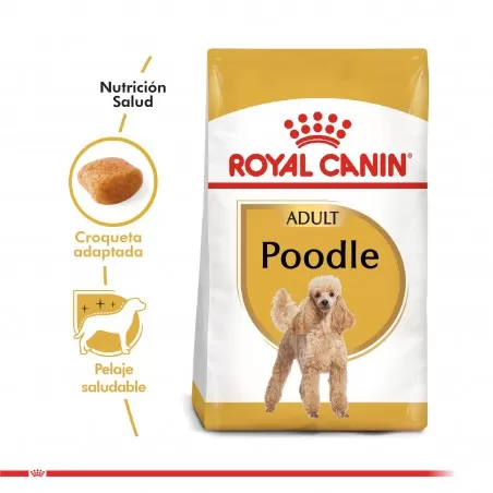 Royal Canin - Perro - Poodle Adulto 7,5kg A PEDIDO - Royal Canin 