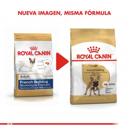 Royal Canin - Perro - Bulldog Frances Adulto 3kg. - Royal Canin 