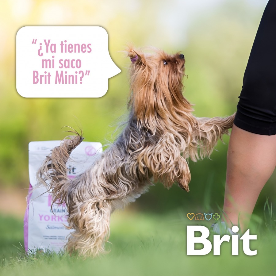 Dale a tu Mascota la Nutrición que se Merece con Brit