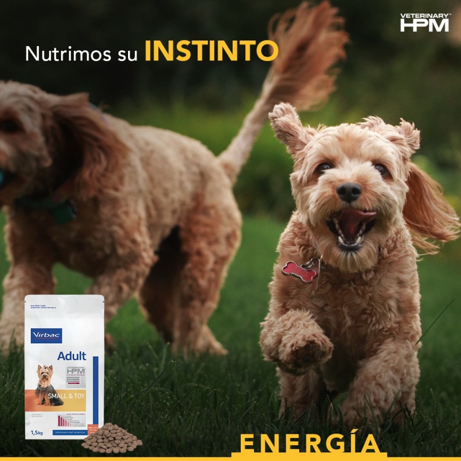 ¡Descubre la Revolución en la Nutrición de tus Mascotas con HPM Virbac!